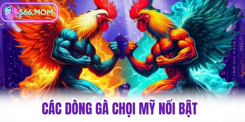 Các dòng gà chọi Mỹ nổi bật